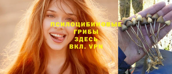 ECSTASY Алексеевка